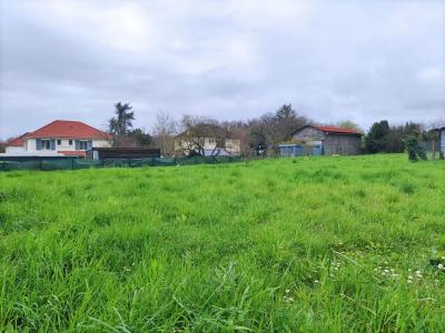 For sale Champagne-saint-hilaire 1885 m2 Vienne (86160) photo 4