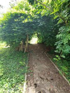 For sale Angerville 5 rooms 105 m2 Essonne (91670) photo 4