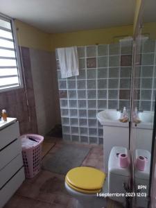 Acheter Maison Gourbeyre 320000 euros