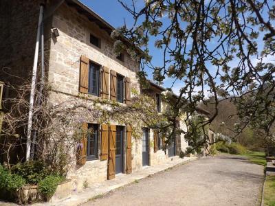 Annonce Viager Maison Razes 87