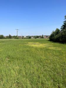For sale Grandes-chapelles 7090 m2 Aube (10170) photo 2