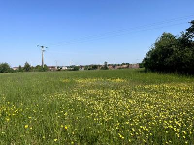 For sale Grandes-chapelles 7090 m2 Aube (10170) photo 3
