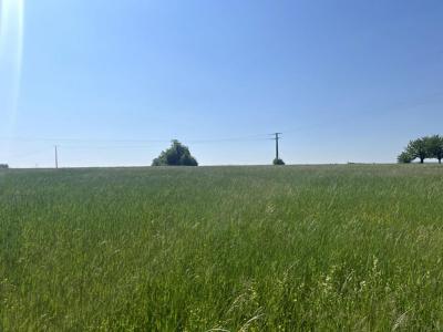 For sale Grandes-chapelles 7090 m2 Aube (10170) photo 4