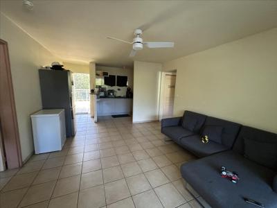 Annonce Location 3 pices Appartement Riviere-saint-louis 974
