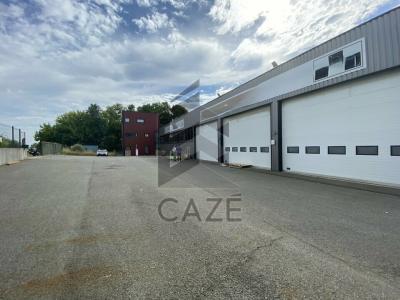 Annonce Location Commerce Cadaujac 33