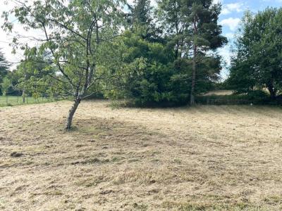 For sale Verjon 895 m2 Ain (01270) photo 3