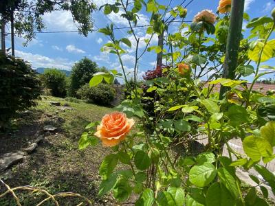 Annonce Vente 2 pices Maison Oyonnax 01