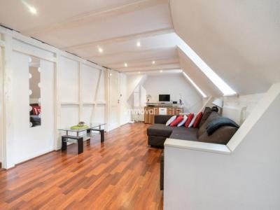 For rent Strasbourg 2 rooms 48 m2 Bas rhin (67000) photo 0