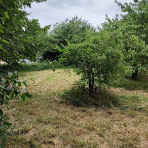 For sale 1927 m2 Charente maritime (17770) photo 1