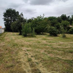 For sale 1927 m2 Charente maritime (17770) photo 3