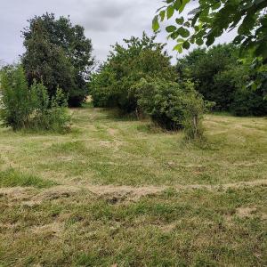 For sale 1927 m2 Charente maritime (17770) photo 4