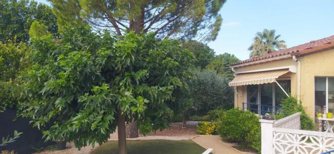 Acheter Maison 142 m2 Saint-felix-de-lodez