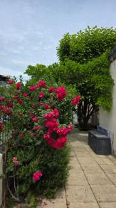 For sale Aix-les-bains 8 rooms 159 m2 Savoie (73100) photo 1