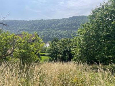 Annonce Vente 5 pices Maison Besancon 25