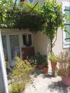 For rent Morigny-champigny 1 room 28 m2 Essonne (91150) photo 0