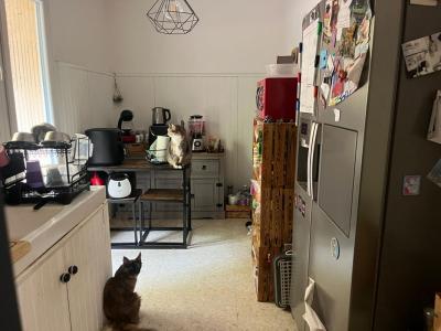 For sale Cagnes-sur-mer 3 rooms 64 m2 Alpes Maritimes (06800) photo 3