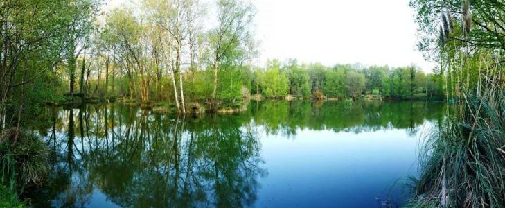 For sale Croisty 15350 m2 Morbihan (56540) photo 2