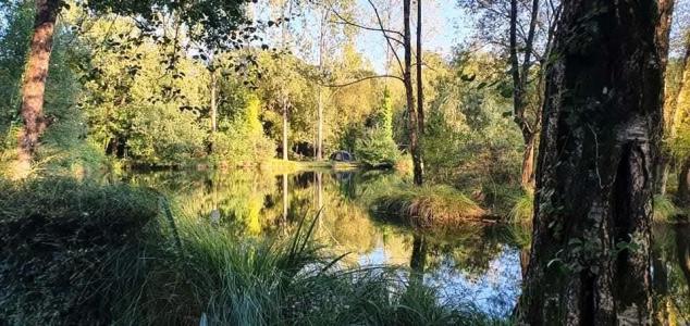 For sale Croisty 15350 m2 Morbihan (56540) photo 4