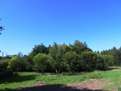Annonce Vente Terrain Cleguerec 56