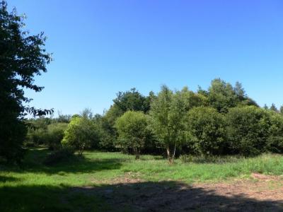 Acheter Terrain Cleguerec Morbihan
