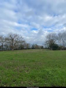 For sale Pallet 112 m2 Loire atlantique (44330) photo 1