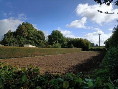 For sale Gandelain 656 m2 Orne (61420) photo 4