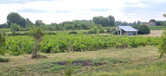 Acheter Domaine agricole Blaye Gironde