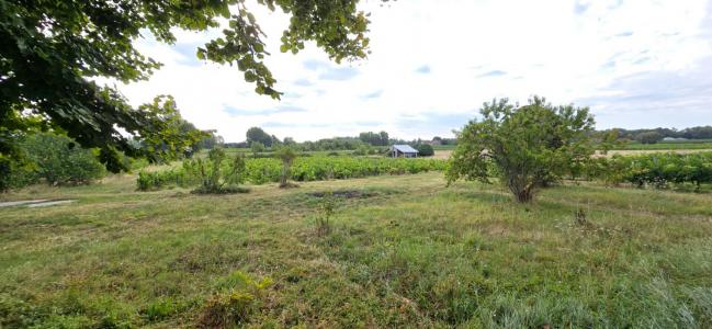 Acheter Domaine agricole Blaye 1351000 euros