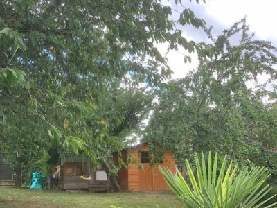 For rent Limoges 4 rooms 90 m2 Haute vienne (87100) photo 4
