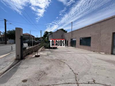 Louer Commerce Toulon Var