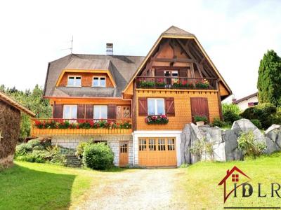 For sale Brouvelieures 6 rooms 150 m2 Vosges (88600) photo 1