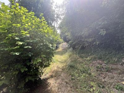 Acheter Appartement Perreux-sur-marne Val de Marne