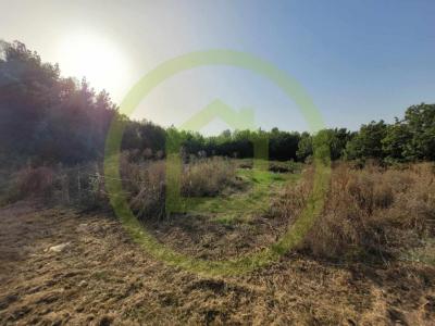 For sale Saint-sorlin-de-conac 3240 m2 Charente maritime (17150) photo 0