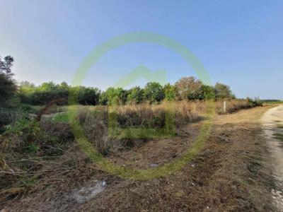 For sale Saint-sorlin-de-conac 3240 m2 Charente maritime (17150) photo 2