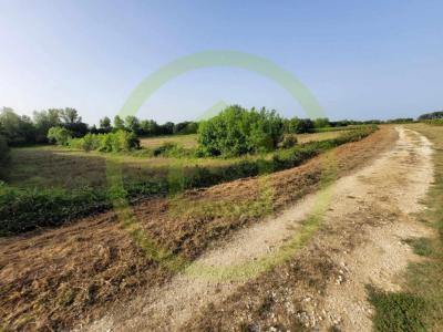 For sale Saint-sorlin-de-conac 3240 m2 Charente maritime (17150) photo 3