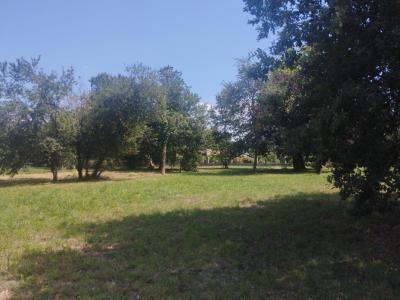 Annonce Vente Terrain Cazeres 31