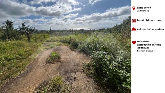 For sale Saint-benoit 32767 m2 Reunion (97470) photo 0