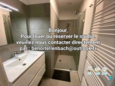 For rent Annemasse 1 room 24 m2 Haute savoie (74100) photo 4