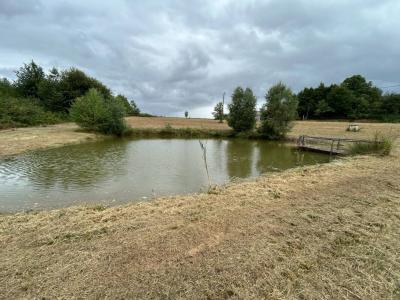 Annonce Vente Terrain Segur-le-chateau 19