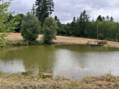 Acheter Terrain 9376 m2 Segur-le-chateau