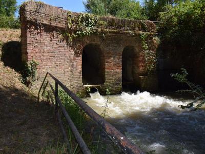 For sale Castelsarrasin 7 rooms 330 m2 Tarn et garonne (82100) photo 1