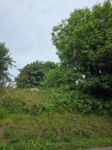 For sale Brennilis 4 rooms 54 m2 Finistere (29690) photo 4