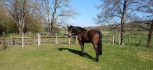For sale House Aisey-et-richecourt  129 m2 6 pieces