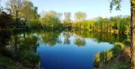 For sale Land Croisty 15350 m2