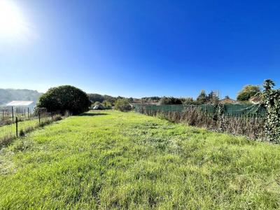 Annonce Location 4 pices Maison Berson 33