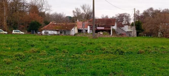 Annonce Vente Terrain Pugnac 33