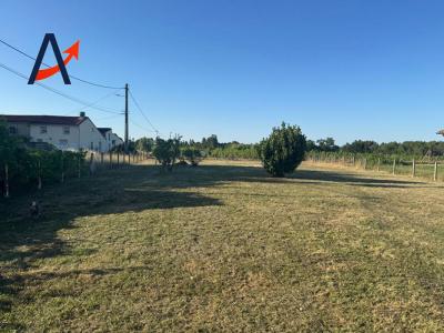 For sale Mazion 935 m2 Gironde (33390) photo 0