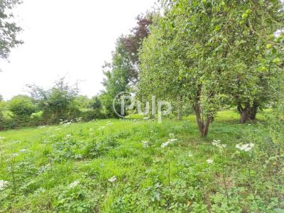 Annonce Vente 6 pices Maison Journy 62