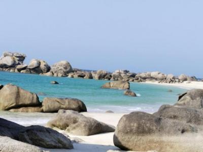 For sale Kerlouan 2100 m2 Finistere (29890) photo 0
