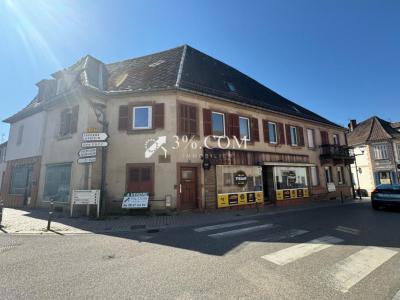 For sale Dettwiller 147 m2 Bas rhin (67490) photo 3